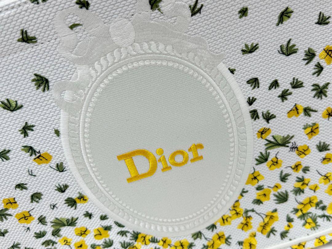 Dior Spring Embroidery Book Tote